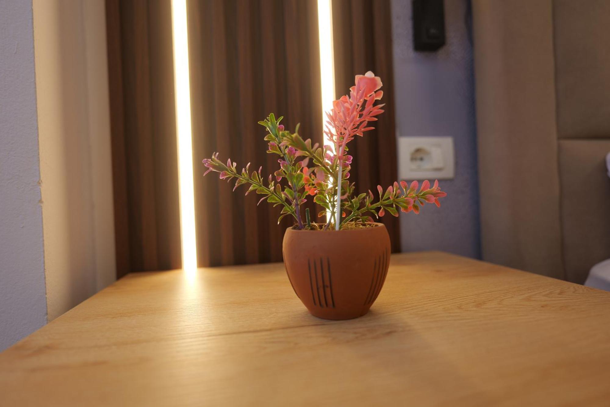 Golden Sleep Hostel Shkodër Dış mekan fotoğraf